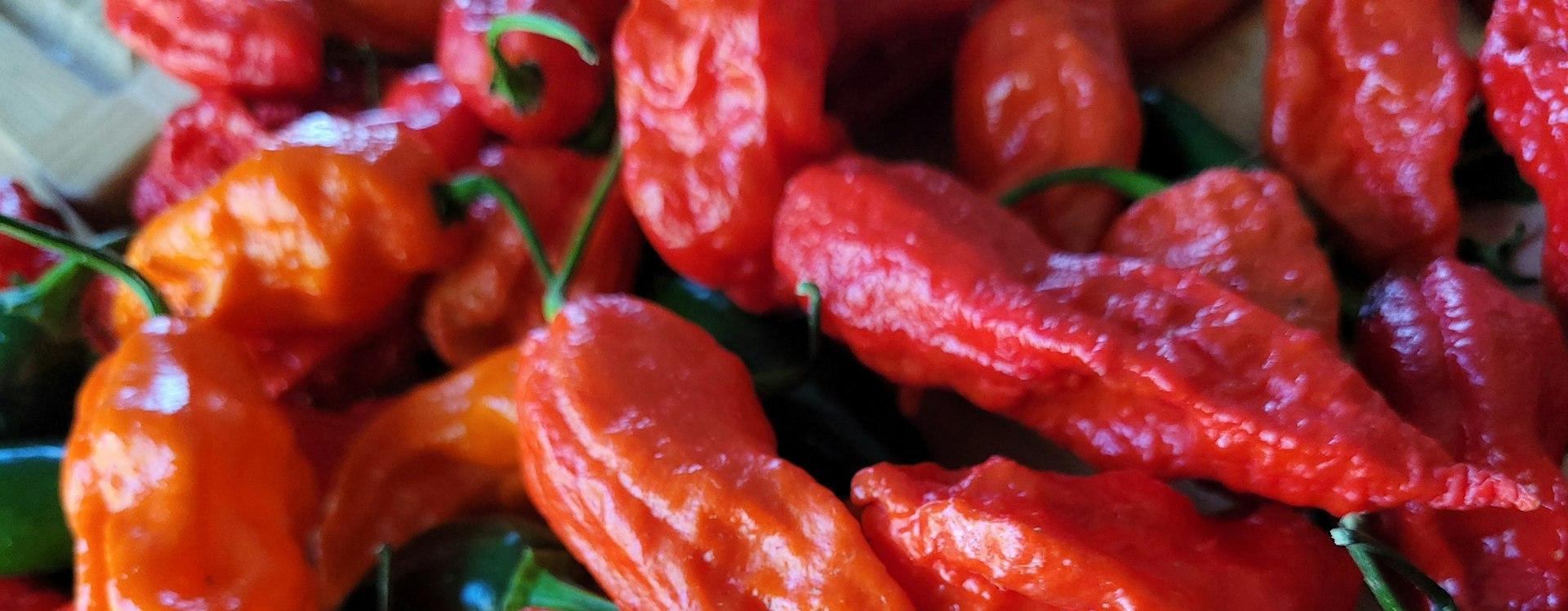 a pile of red peppers sitting on top of a table